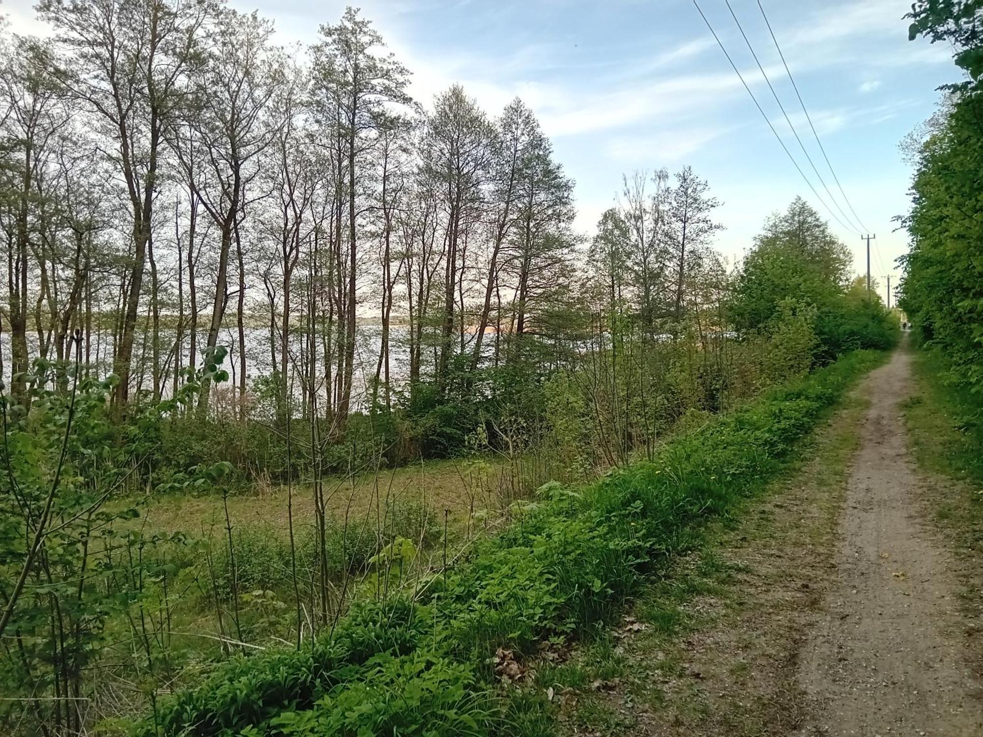 Pokoje Goscinne Sloneczny Klon Dabrowno Dış mekan fotoğraf